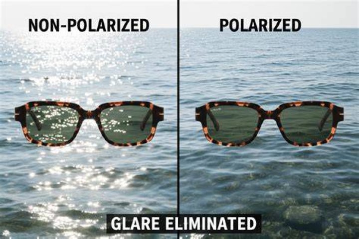Are polarized sunglasses better than regular sunglasses?