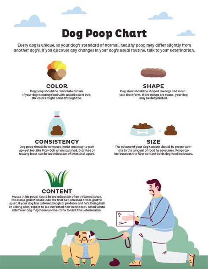 Are there any uses for dog poop?