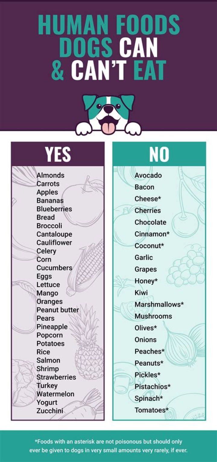 Can apes eat human food?