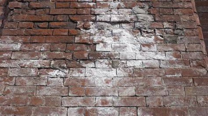 Can efflorescence damage bricks?