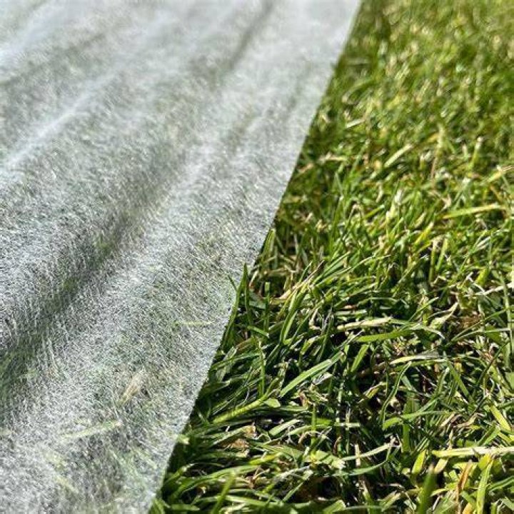 Can I use a bed sheet to cover grass seed?