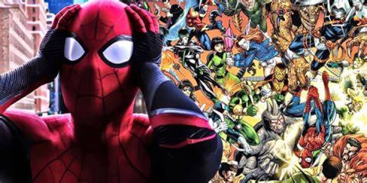 Can spider understand humans?