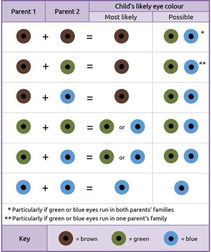 Can two parents with brown eyes have a child with blue eyes?