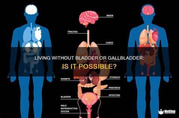 Can u live without a bladder?