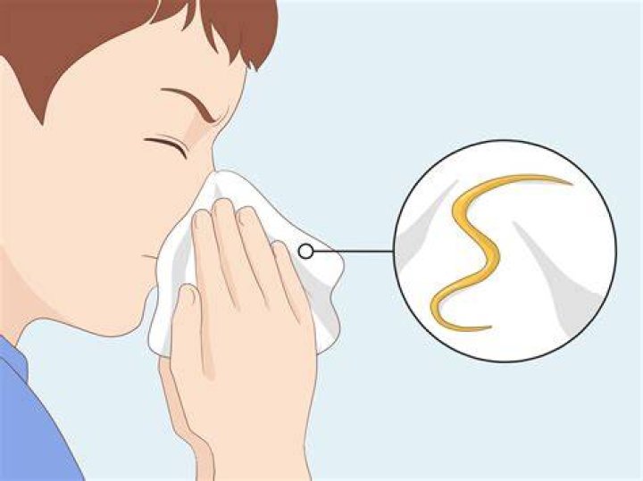 Can worms come out of nose?