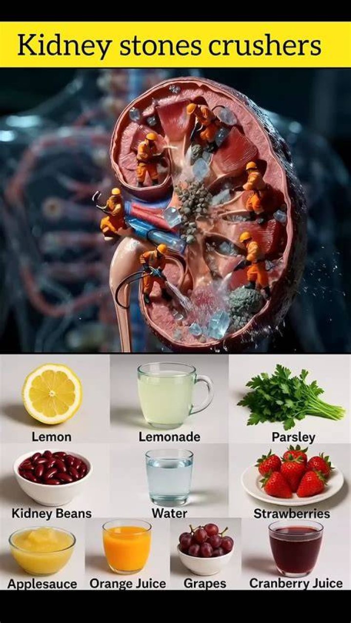 Can you grow a kidney?