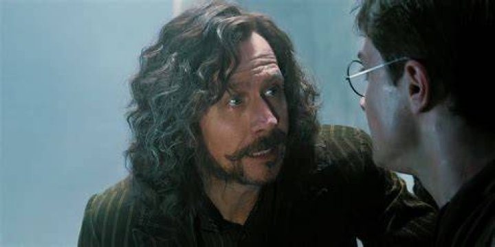 Did Sirius think Harry was James?