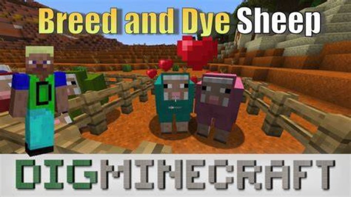 Do dyed sheep stay dyed Minecraft?