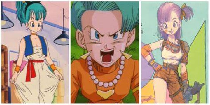 Does Bulma carry a gun?