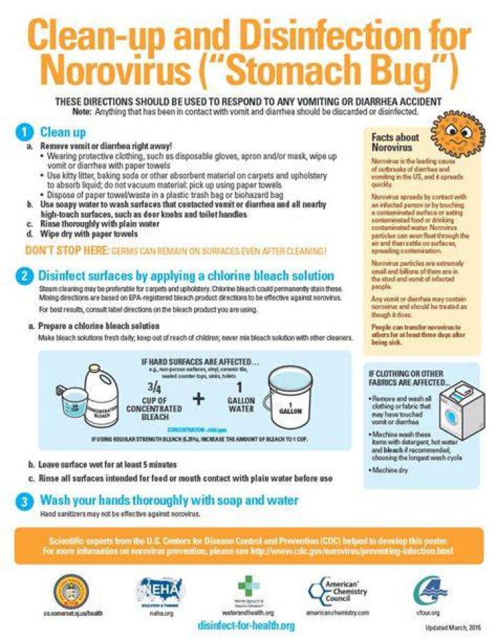 Does diarrhea clean you out?