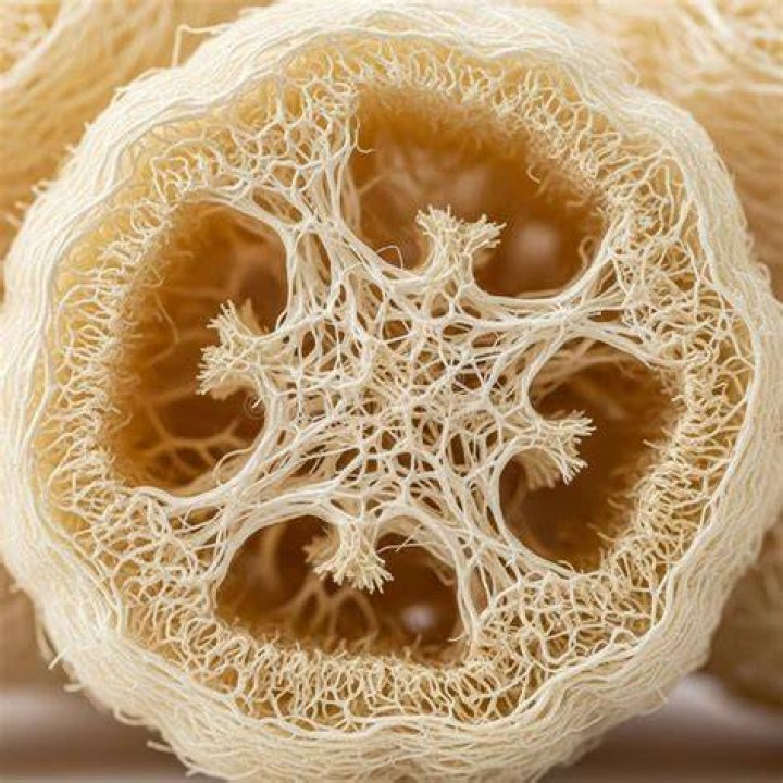Does loofah remove tan?