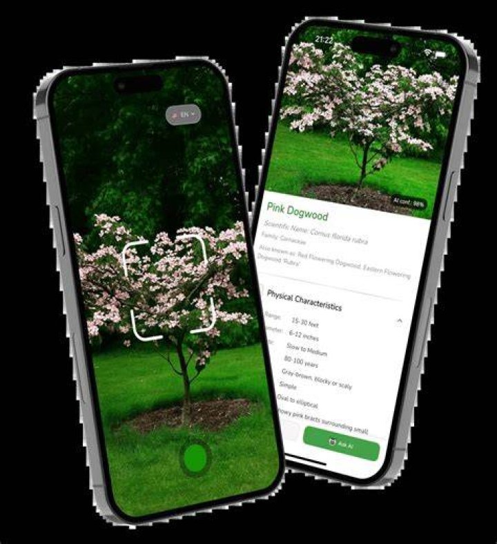 Does Picture this app identify trees?