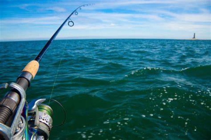 Does talking scare away fish?