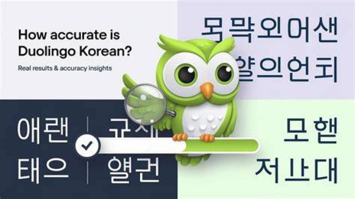 How accurate is duolingo Japanese?
