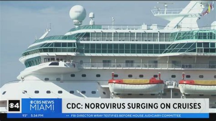 How do I avoid getting the norovirus on a cruise?