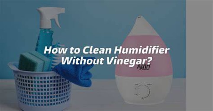 How do you clean a humidifier without vinegar?
