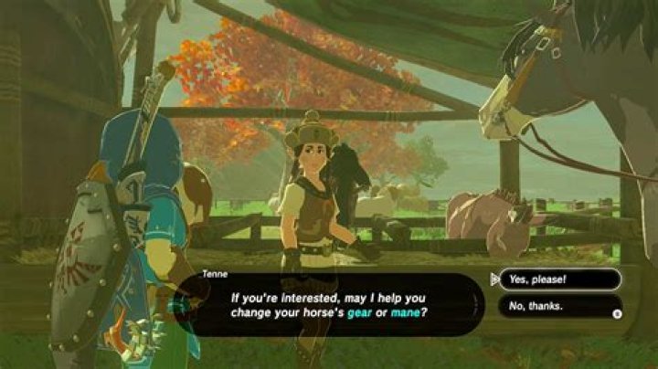 How do you put a monster saddle on a horse Botw?