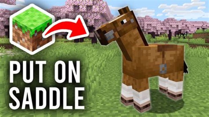 How do you put a monster saddle on a horse?