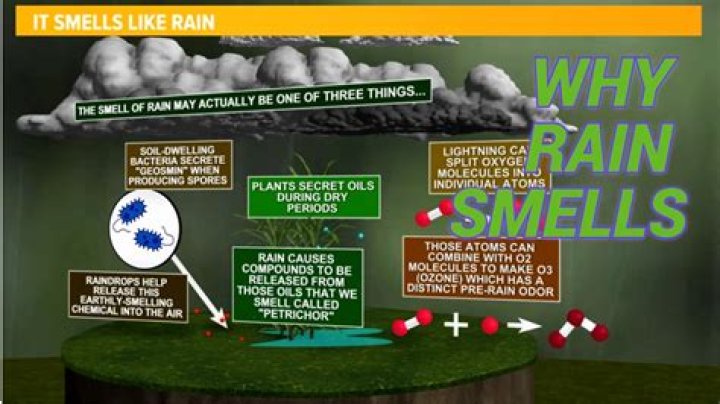 How does rain smell like?
