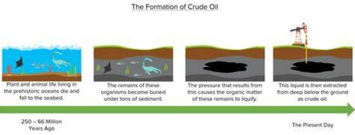 How is emu oil extracted from the bird?