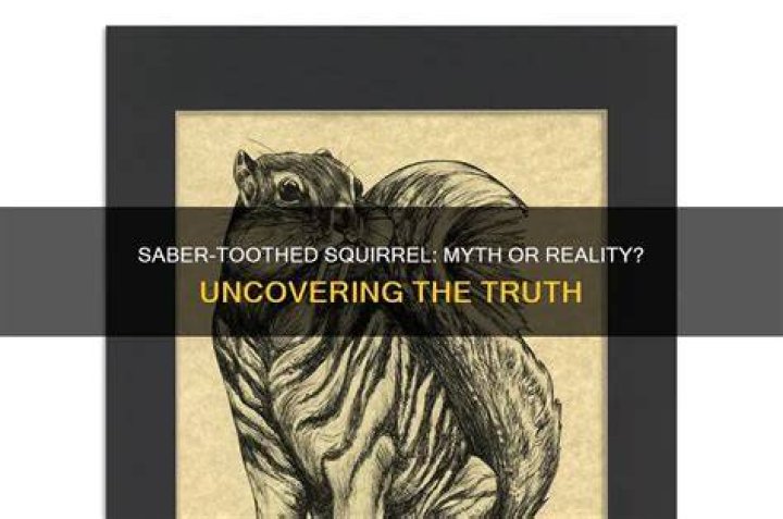 Is a saber tooth squirrel real?
