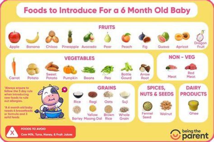 Is Avocado good for a 6 month baby?