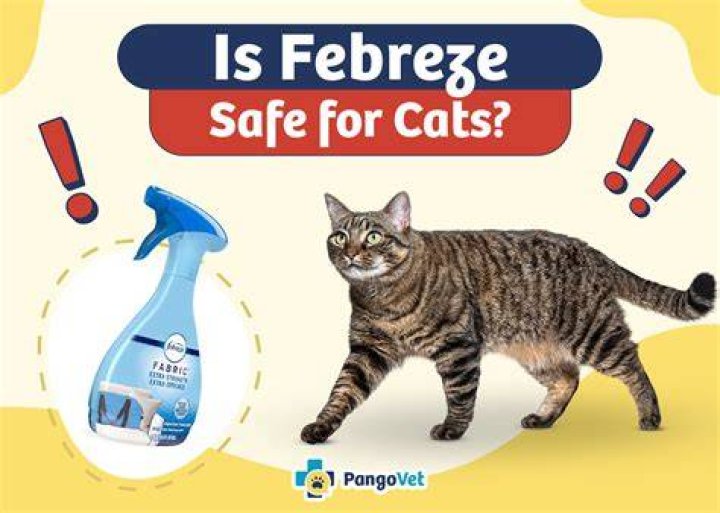 Is Febreze toxic to birds?