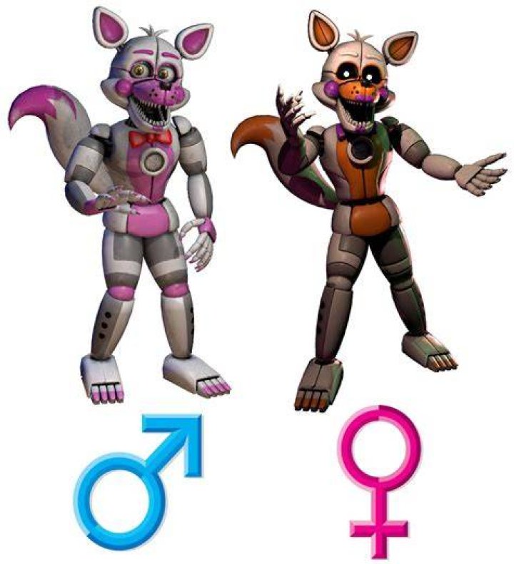 Is Foxy a boy?