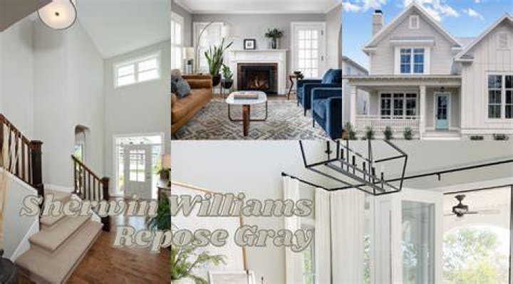 Is gray paint on its way out?