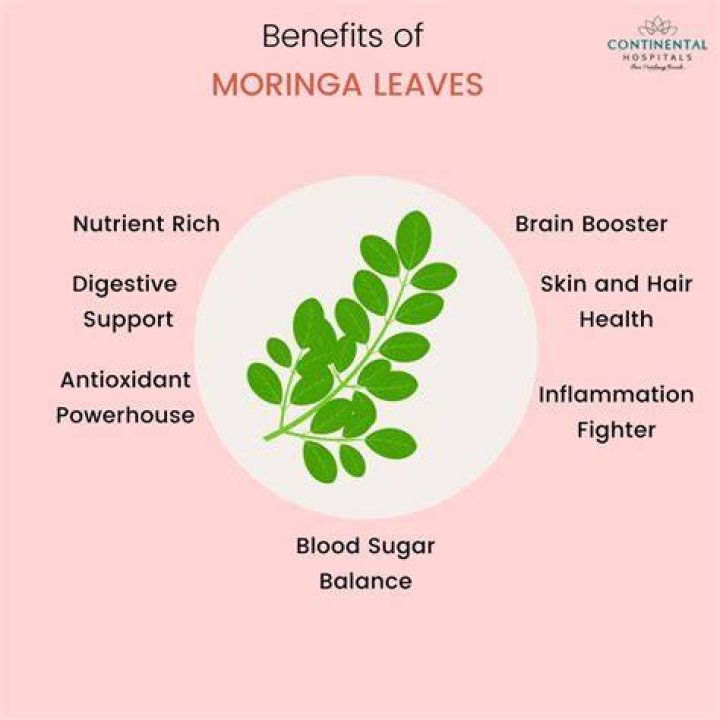 Is moringa good before bed?
