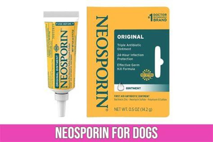 Is Neosporin OK for dogs?