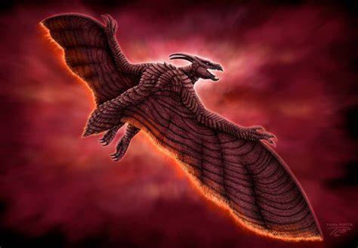 Is Rodan a bird?