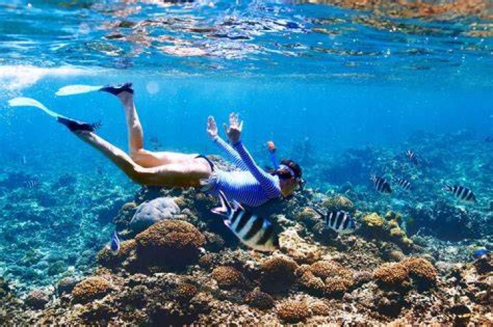 Is snorkeling good in Puerto Vallarta?