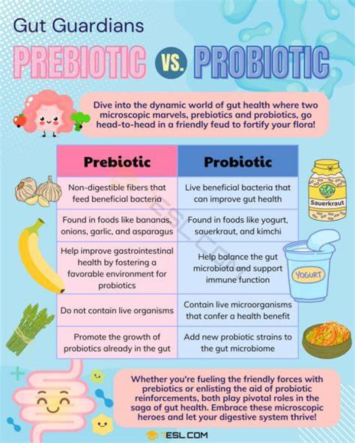 Is tequila a probiotic or prebiotic?