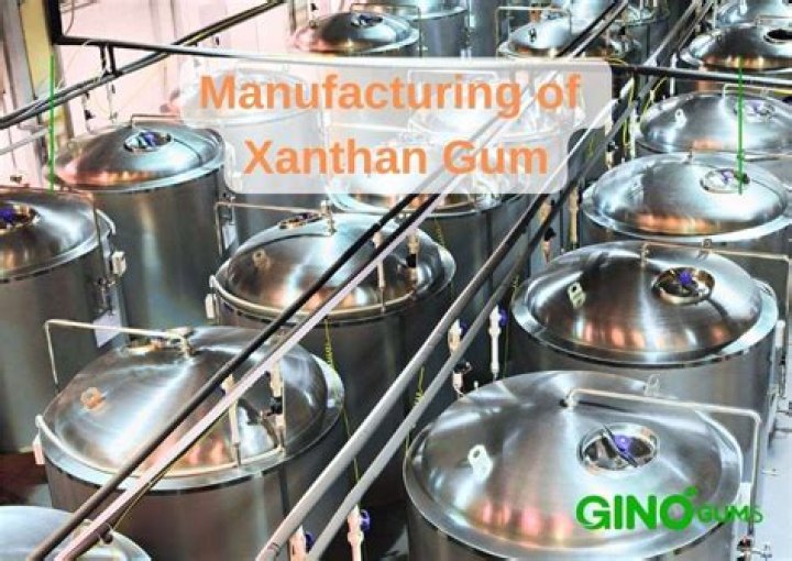 Is xanthan gum a raising agent?