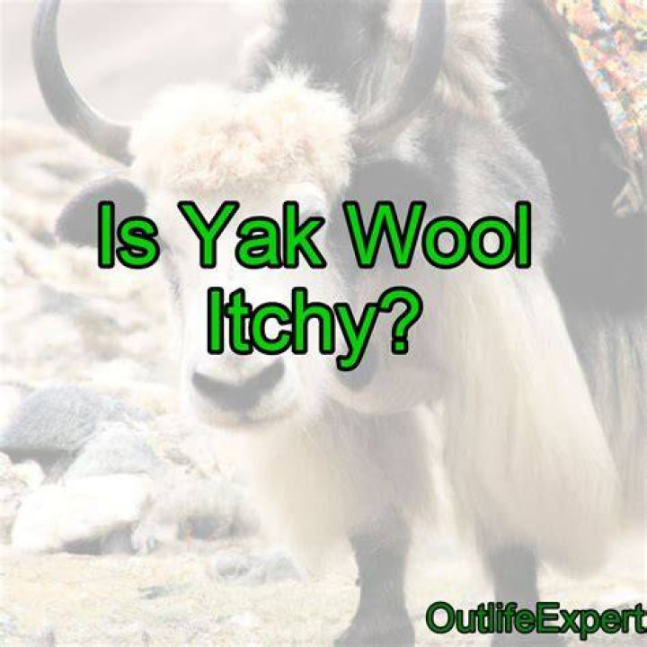 Is yak itchy like wool?