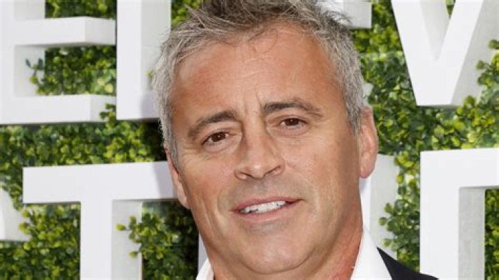 Is You Oughta Know about Matt LeBlanc?