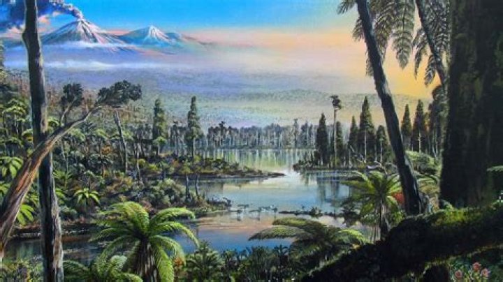 Was Antarctica ever a jungle?