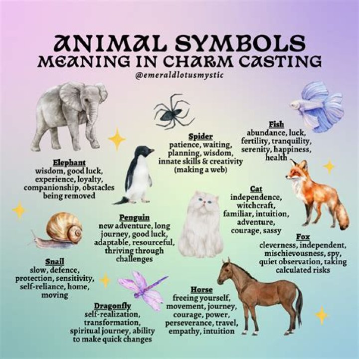 What animal represents the Navy?