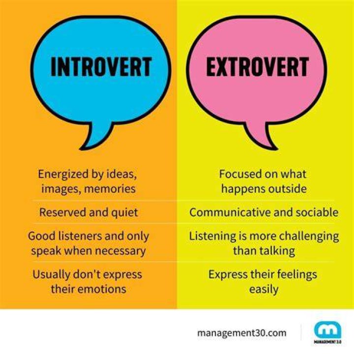What are introverts best at?