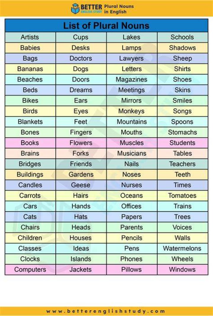 What are plural nouns examples?
