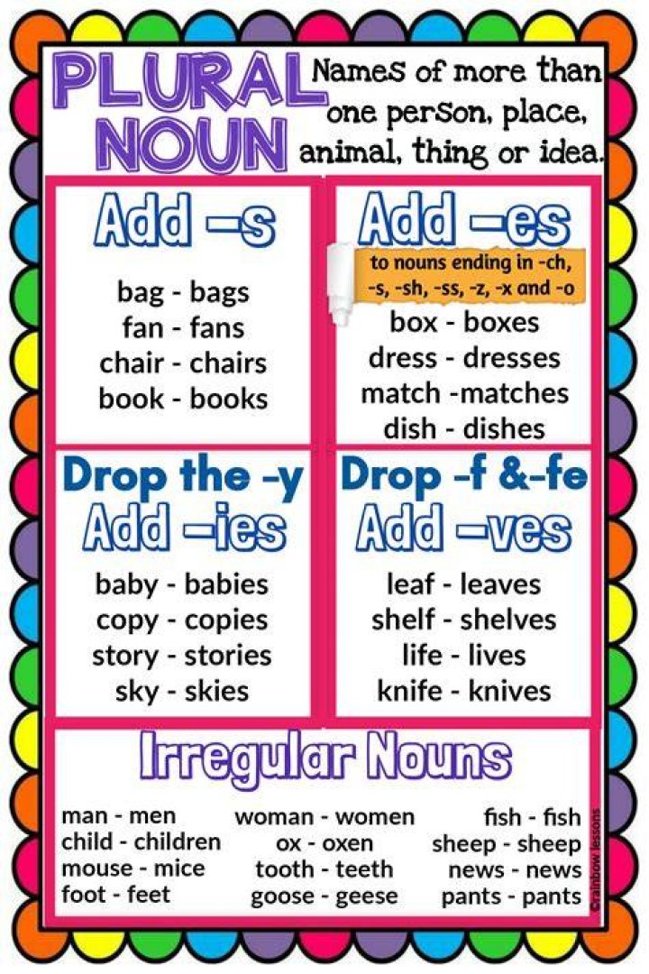 What are singular and plural nouns?