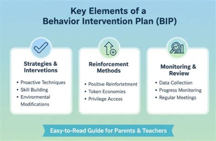 What are the 4 key components of a behavior intervention plan?
