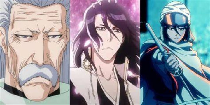 What are the 4 noble clans in Bleach?