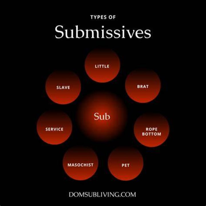What are the examples of submissive Behaviour?