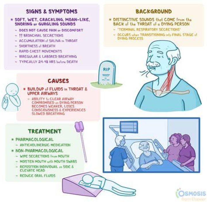 What are the signs of pernicious Anaemia?
