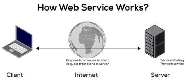 What are Web services in canvas?