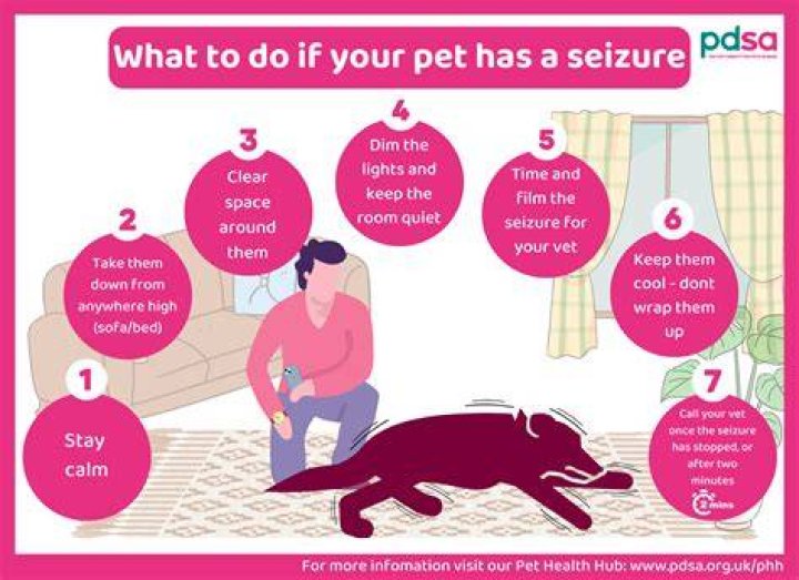 What causes seizures in older adults for the first time?
