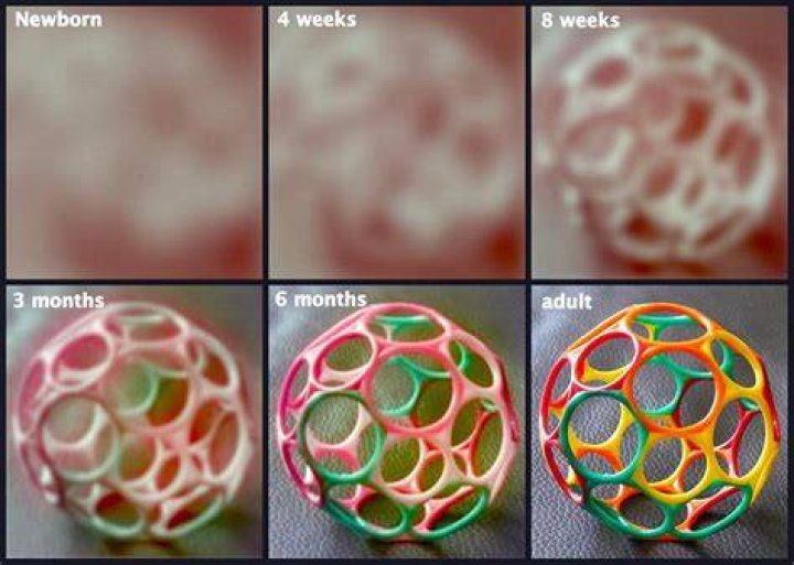 What color do babies see when they are born?