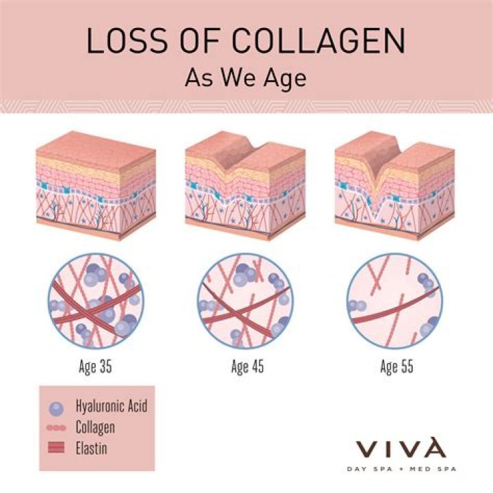 What destroys collagen in face?